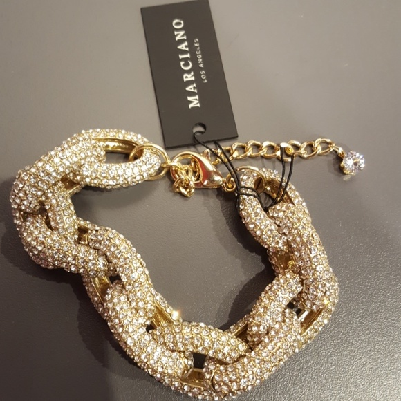 logos bible quiz 2021 syllabus